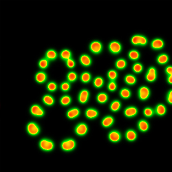 Reaction diffusion system